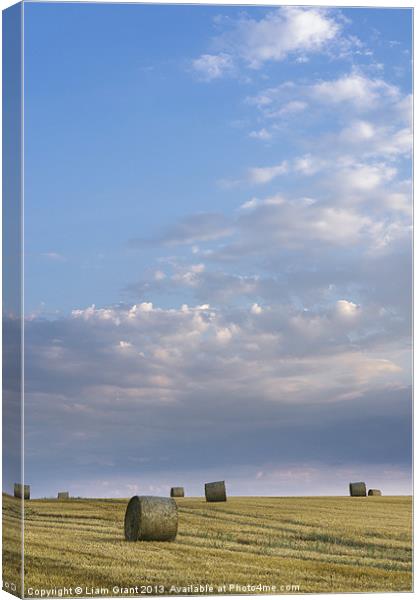Field of round straw bales at sunset. Canvas Print by Liam Grant