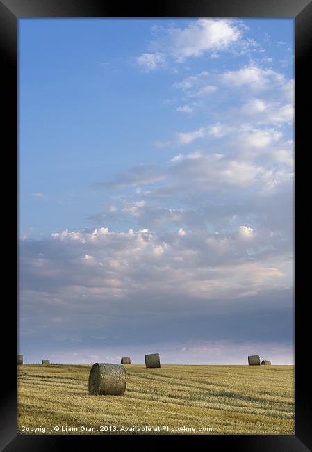 Field of round straw bales at sunset. Framed Print by Liam Grant