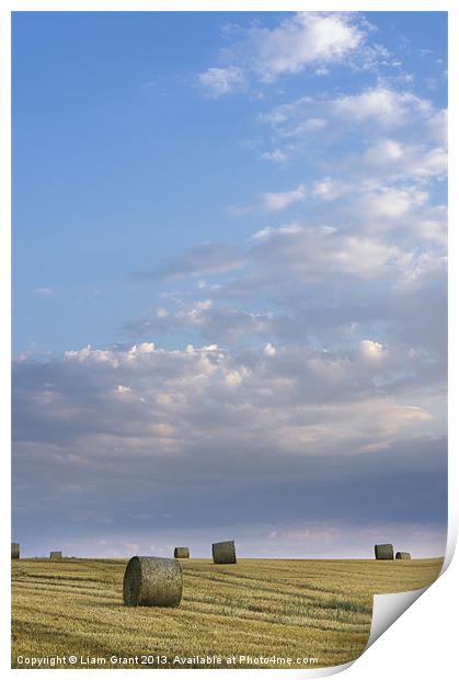 Field of round straw bales at sunset. Print by Liam Grant