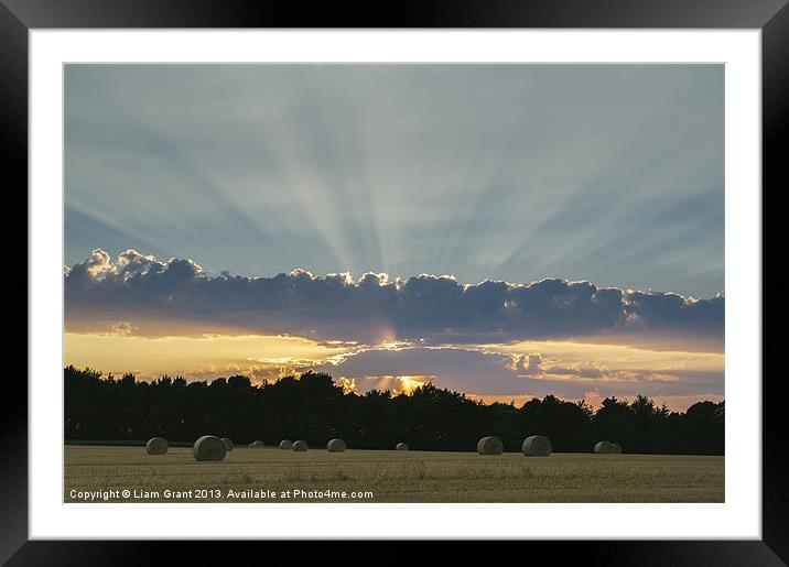 Field of round straw bales at sunset. Framed Mounted Print by Liam Grant