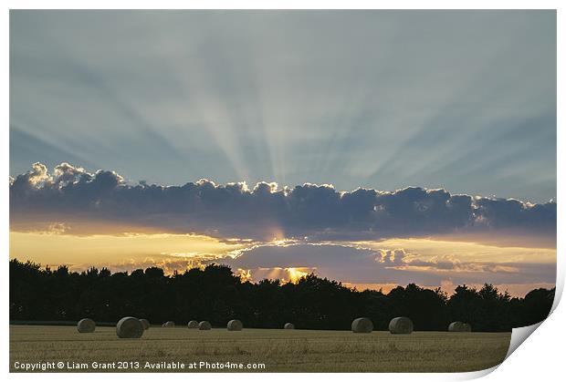 Field of round straw bales at sunset. Print by Liam Grant