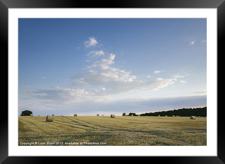 Field of round straw bales at sunset. Framed Mounted Print by Liam Grant