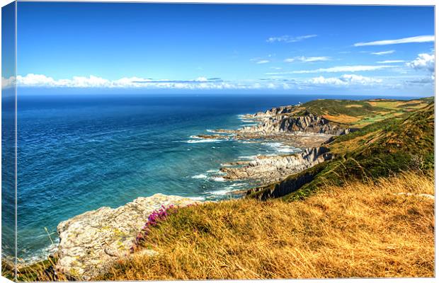 Rockham Bay and Bull Point Lighthouse Canvas Print by Dave Wilkinson North Devon Ph