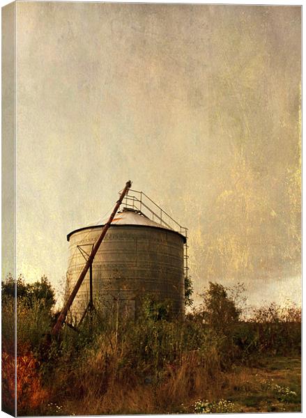 on the farm Canvas Print by Dawn Cox