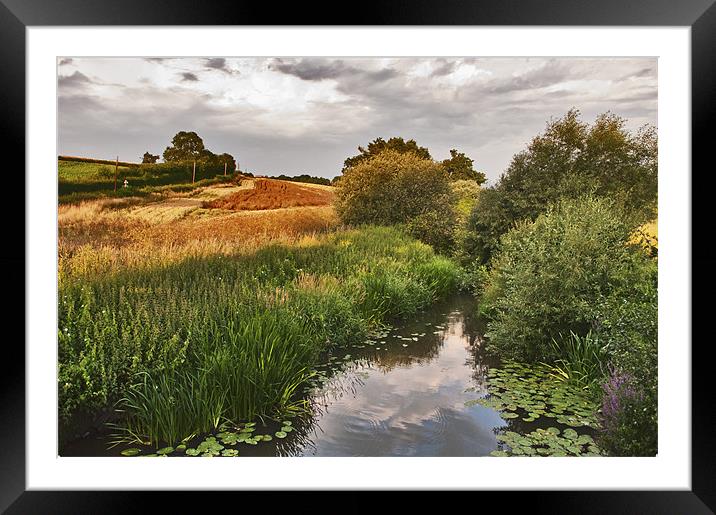 along the riverbank Framed Mounted Print by Dawn Cox