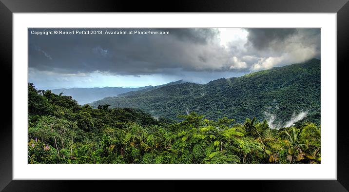 El Yunque Rain Forest Framed Mounted Print by Robert Pettitt