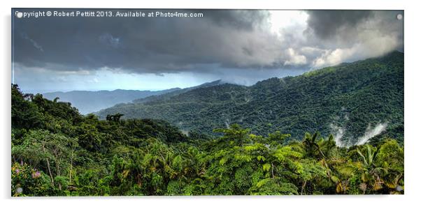 El Yunque Rain Forest Acrylic by Robert Pettitt