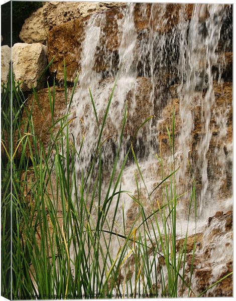 Waterfall and the Reeds Canvas Print by Pics by Jody Adams
