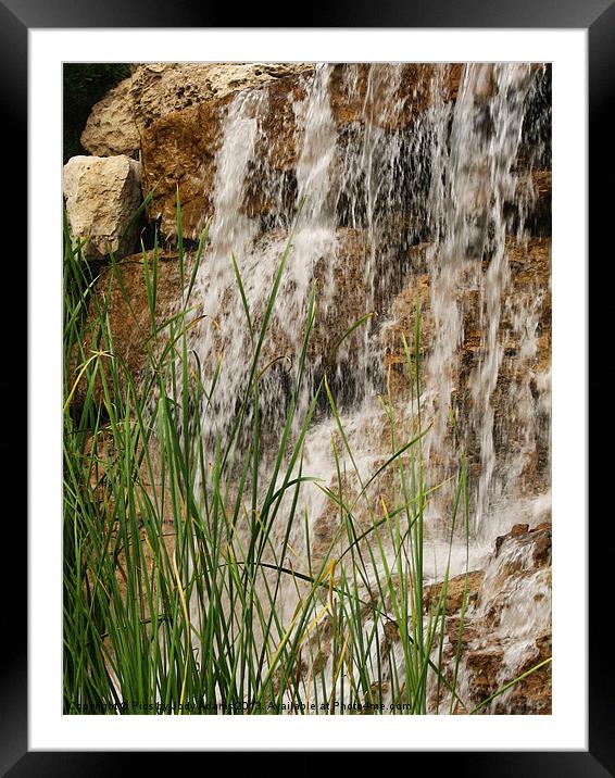 Waterfall and the Reeds Framed Mounted Print by Pics by Jody Adams