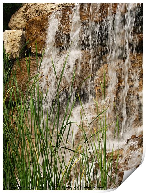 Waterfall and the Reeds Print by Pics by Jody Adams