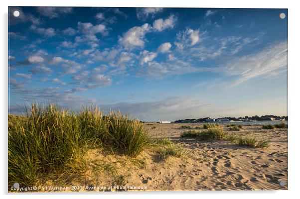 Dunes at Shell Bay Acrylic by Phil Wareham