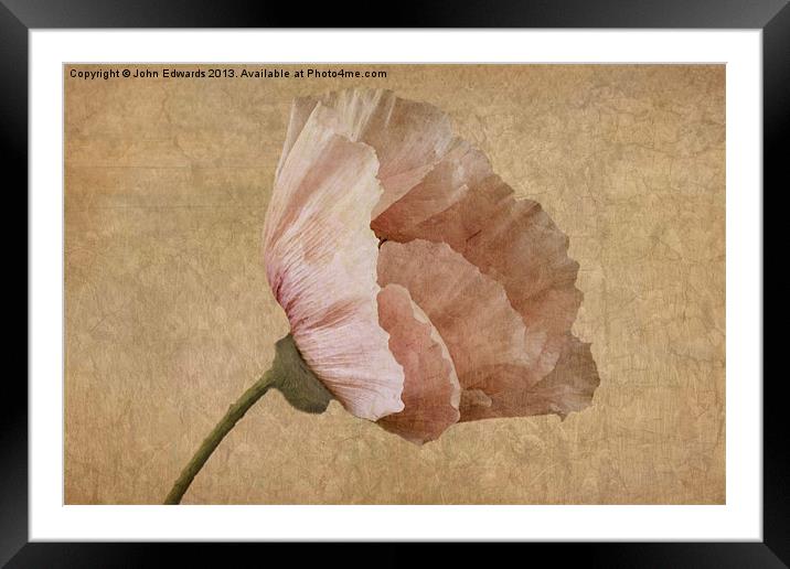 Parchment Framed Mounted Print by John Edwards