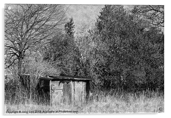 Shed Acrylic by Julie Coe