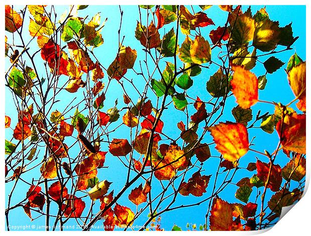 Autumn Leaves - 3 Print by james richmond