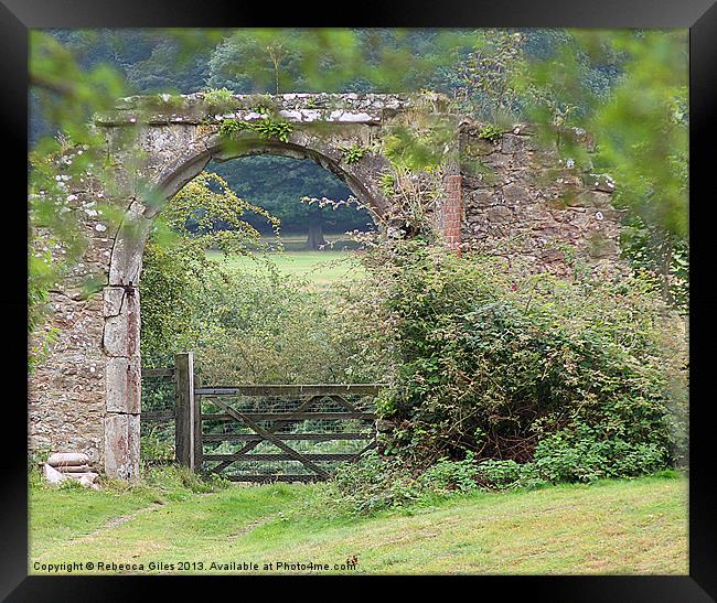 Frame within a frame Framed Print by Rebecca Giles