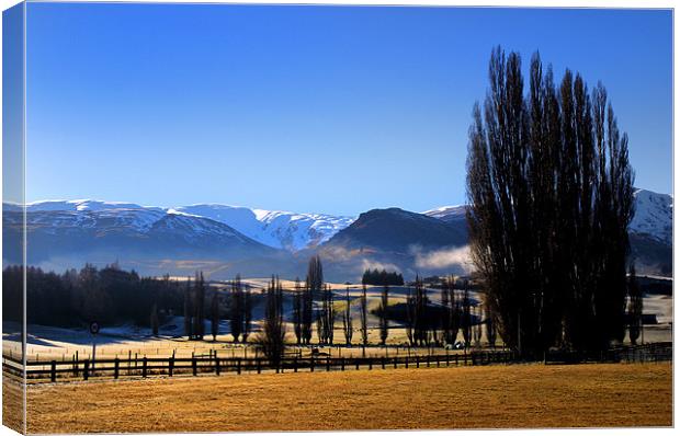 New Zealand Winter. Canvas Print by David Hare