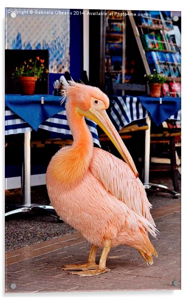 Pink Pelican Acrylic by Gabriela Olteanu