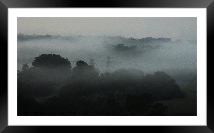 Fog Admist the Trees Framed Mounted Print by Pics by Jody Adams