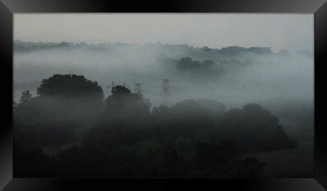 Fog Admist the Trees Framed Print by Pics by Jody Adams