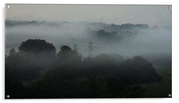 Fog Admist the Trees Acrylic by Pics by Jody Adams