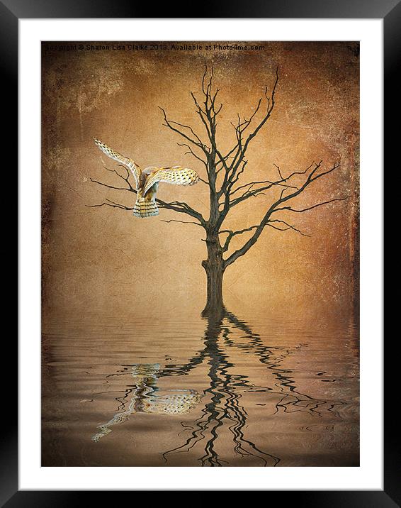 Golden Owl Framed Mounted Print by Sharon Lisa Clarke
