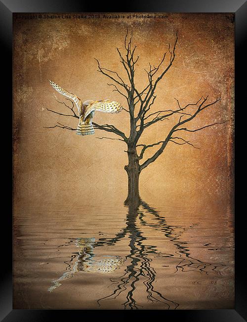 Golden Owl Framed Print by Sharon Lisa Clarke
