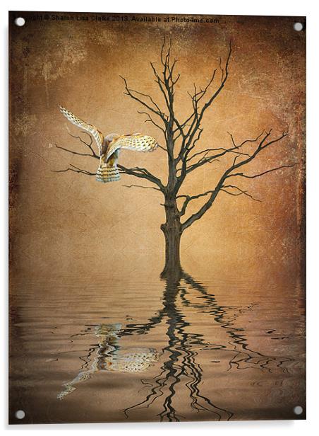 Golden Owl Acrylic by Sharon Lisa Clarke
