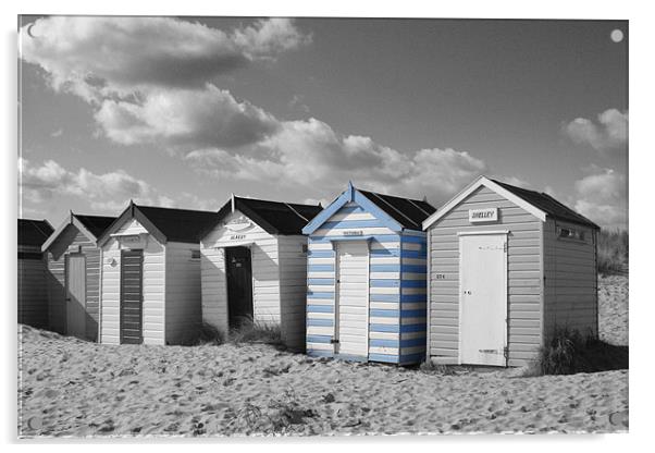 Beach Huts Acrylic by Stephen Hayes