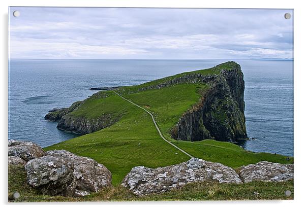 Neist Point, Isle of Skye Acrylic by Jacqi Elmslie