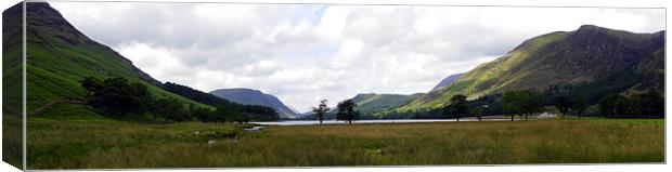 Buttermere Canvas Print by Oliver Gibson