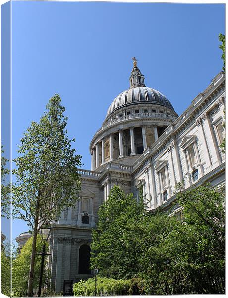 St Pauls Catherdal Canvas Print by Rebecca Giles