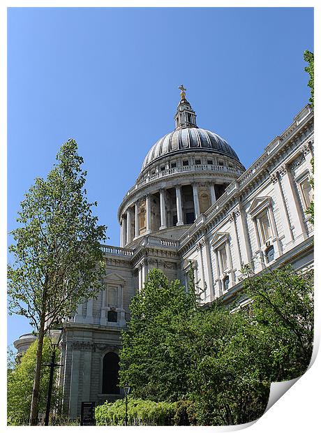 St Pauls Catherdal Print by Rebecca Giles