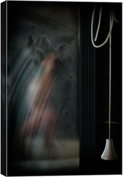 Steamy Shower Canvas Print by Paul Haley