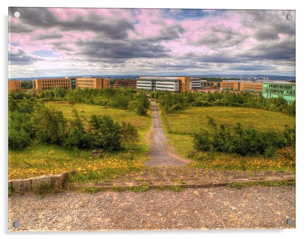 silverlink park Acrylic by Robert Bennett