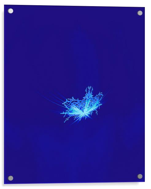 Snowflake Acrylic by Ferenc Kalmar