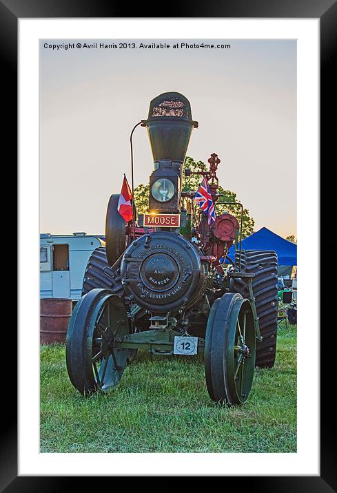 Moose traction engine at sunset Framed Mounted Print by Avril Harris