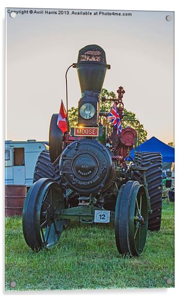 Moose traction engine at sunset Acrylic by Avril Harris