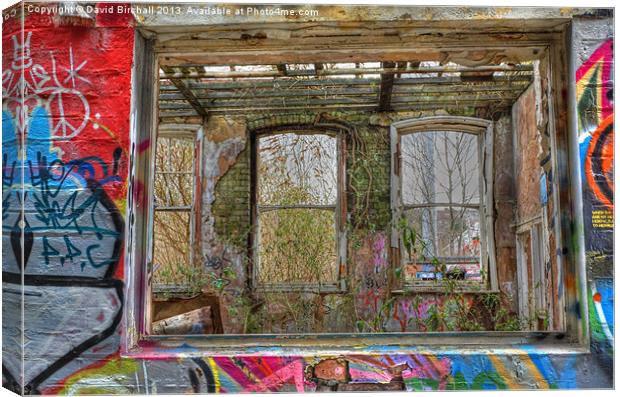 View Through A Window Canvas Print by David Birchall