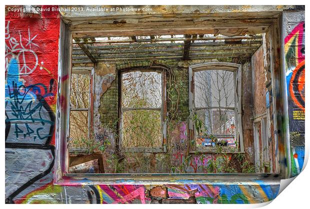 View Through A Window Print by David Birchall