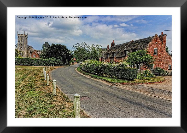 Woodbastwick village and church Framed Mounted Print by Avril Harris
