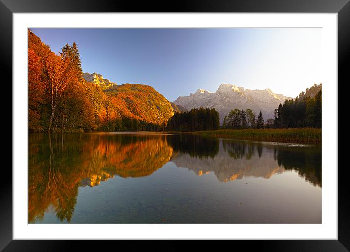 autumn light Framed Mounted Print by Silvio Schoisswohl