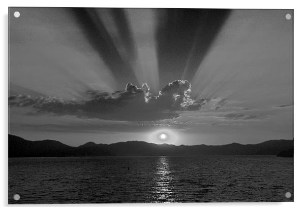 Black and White Sunset Acrylic by Shaun Cope