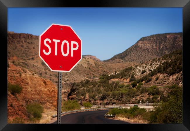 Stop!!! Framed Print by David Hare