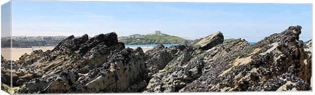 Newquay Bench Canvas Print by Rebecca Giles