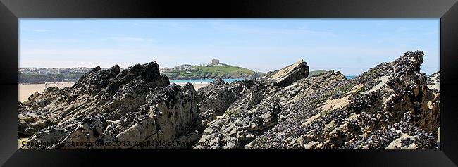 Newquay Bench Framed Print by Rebecca Giles