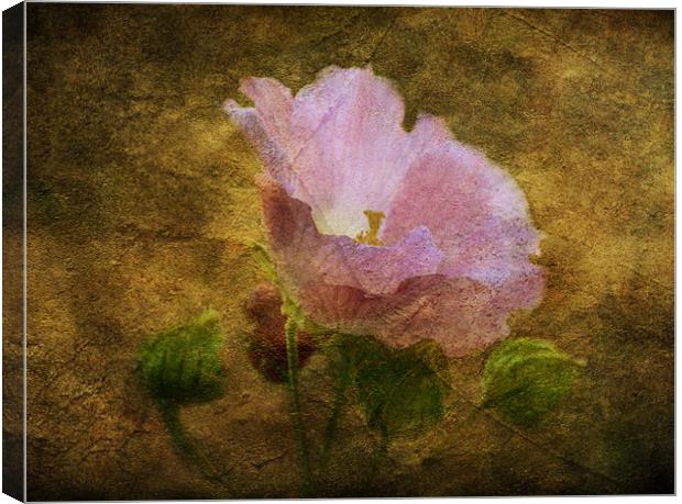 Hibiscus Canvas Print by Fine art by Rina