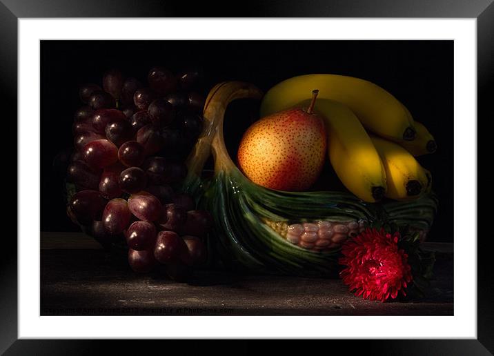 Fruit Still Life 2 Framed Mounted Print by Ann Garrett
