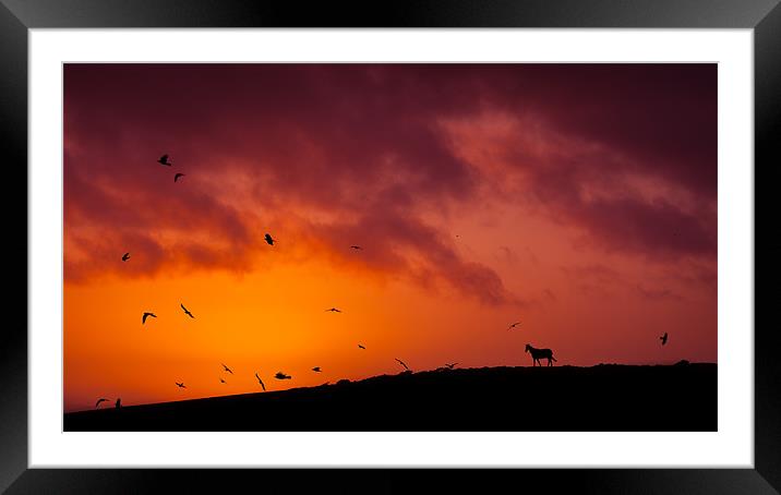 silhouette Framed Mounted Print by Silvio Schoisswohl