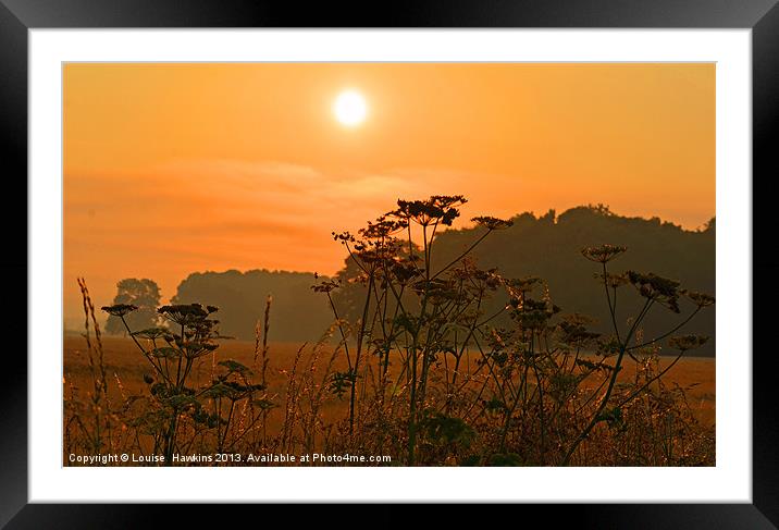 Summer Sunrise Framed Mounted Print by Louise  Hawkins