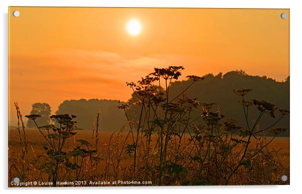 Summer Sunrise Acrylic by Louise  Hawkins